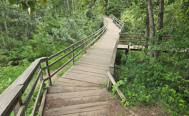 Mackenzie Ravine Boardwalk and Stairs