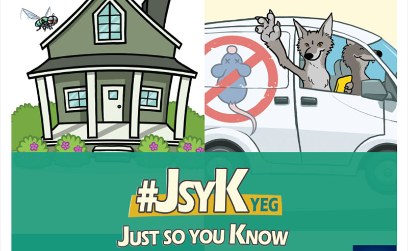 poster for jsyk