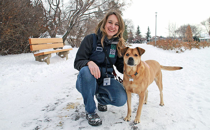 dog in off leash park