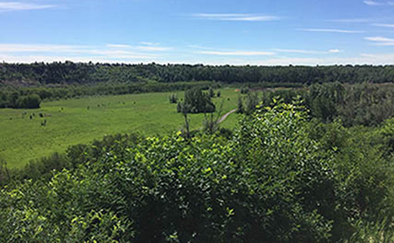 Photo of Oleskiw River Valley Park.