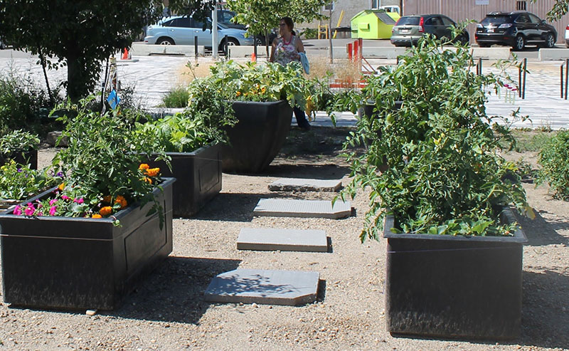 Pop-up Garden