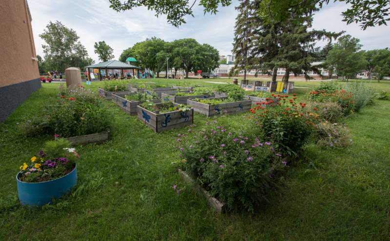 Inglewood Community Garden