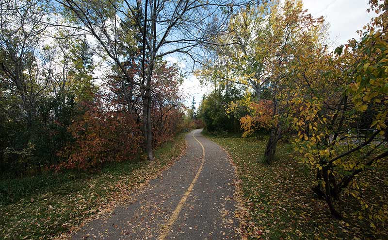 Photo of the Edmonton river valley in autumn.