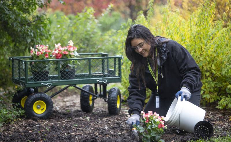 Partners in Parks volunteer planting