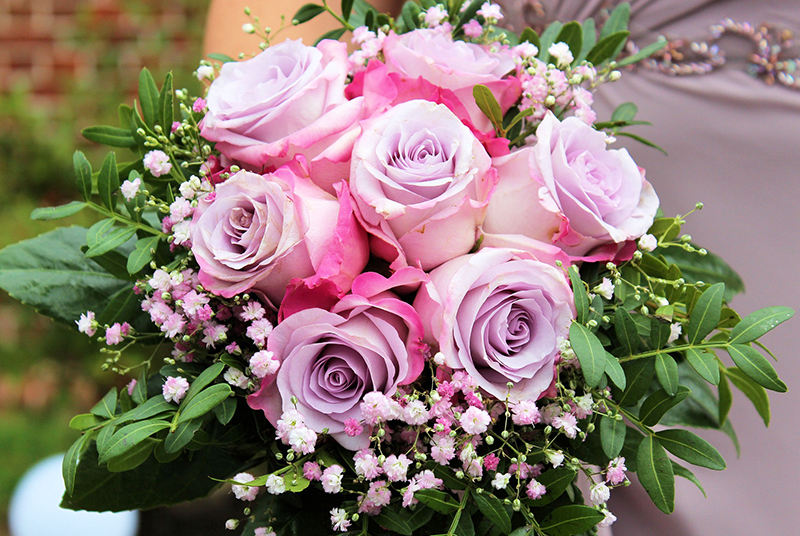 Bouquet of pink roses