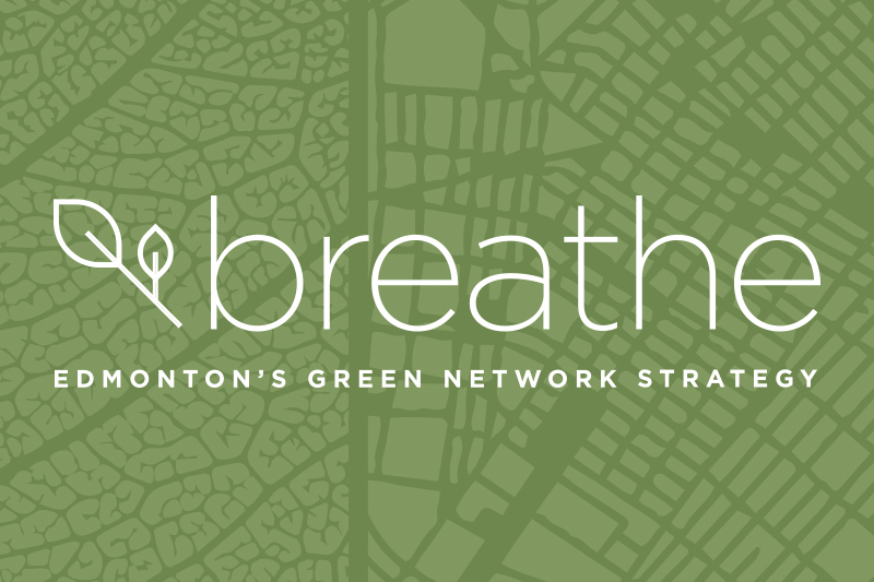Breathe logo/graphic