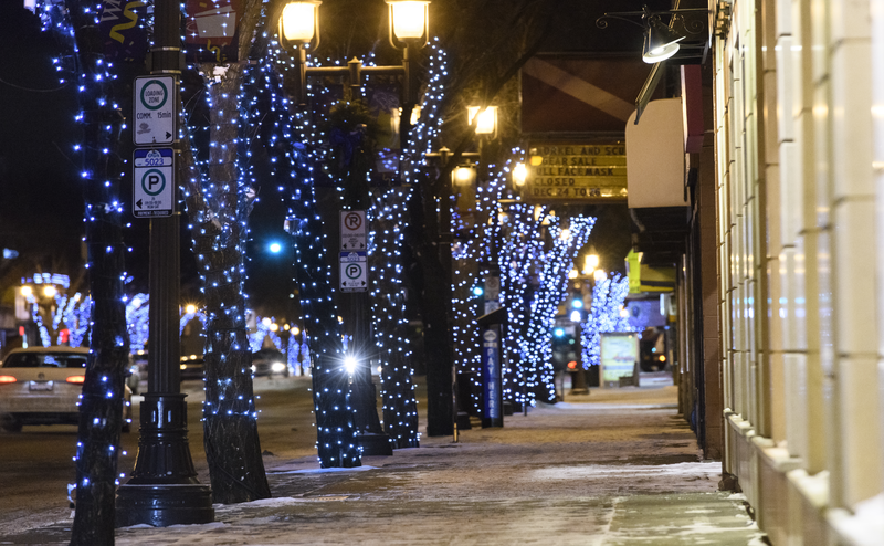 trees on sidewalk in winter