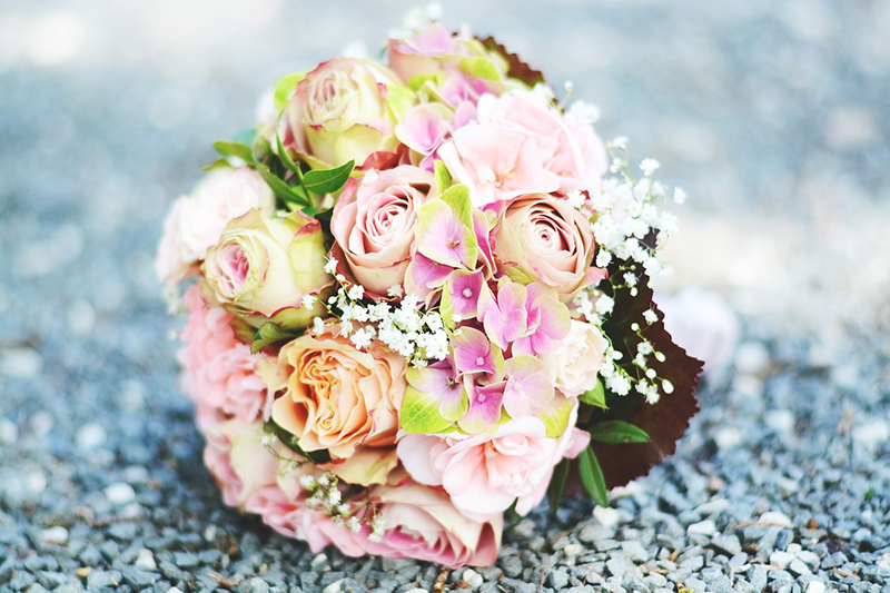 A bouquet of pink roses