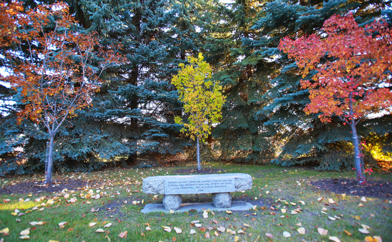 cemetery bench