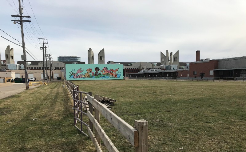 Central McDougall and Queen Mary Park Feature