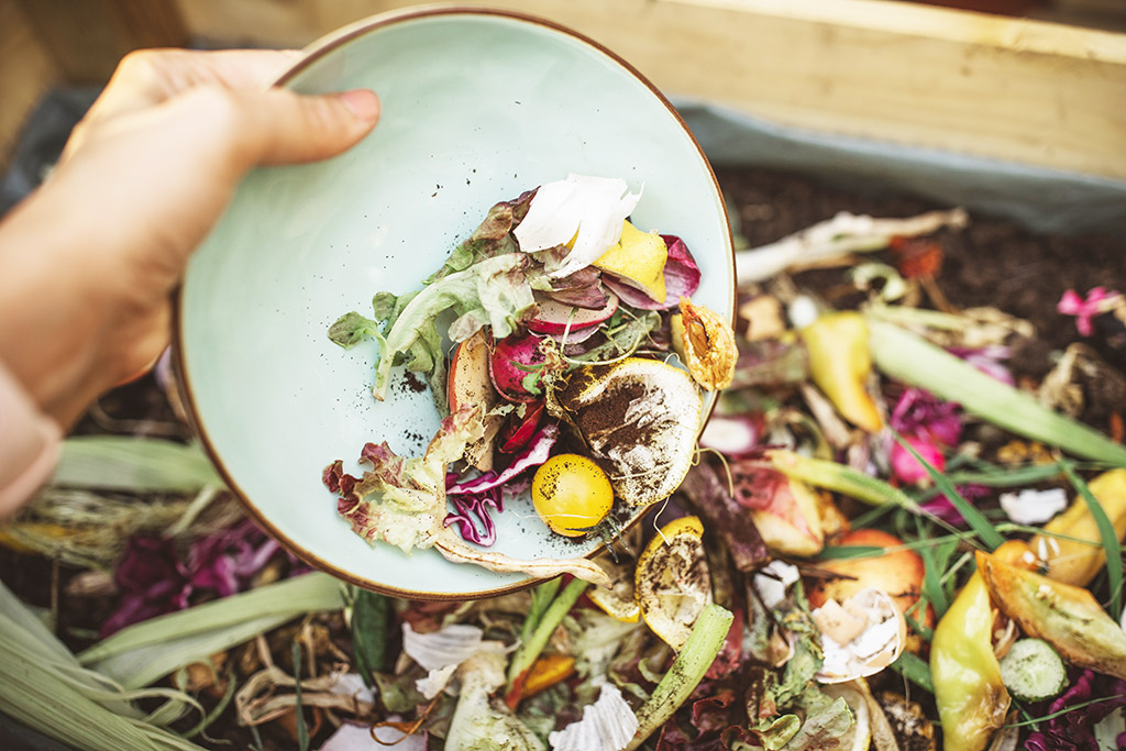 home compost pile