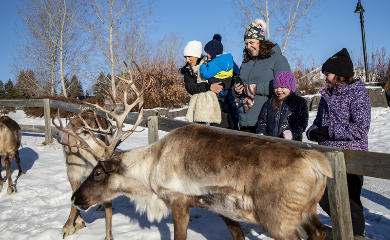 A family watching reindeers at the Zoo.