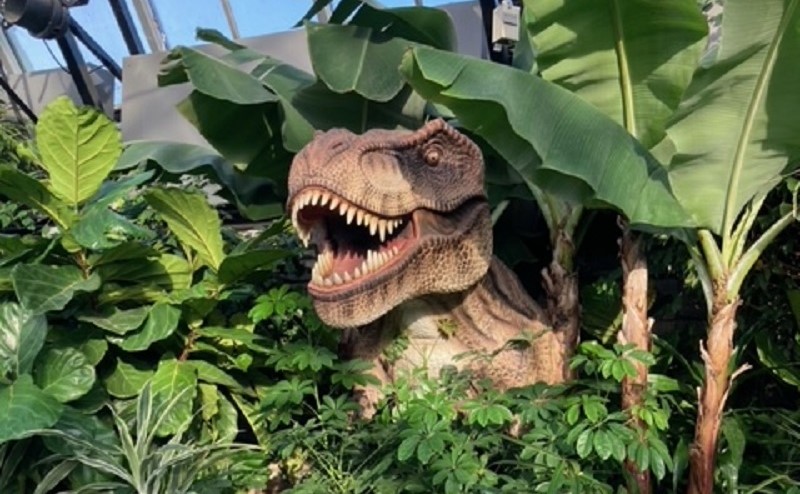 Dinosaur in plants at the Muttart Conservatory