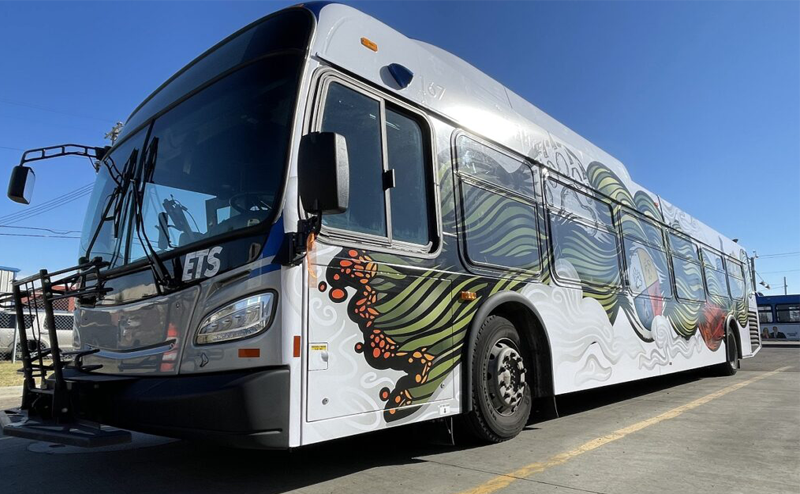 indigenous bus