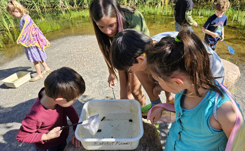 A group of kids with bug nets examining a basin labeled "Exhibit Room". The basin appears to contain several bugs.