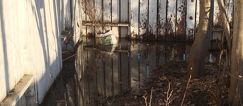 Water pooled in the corner of the yard