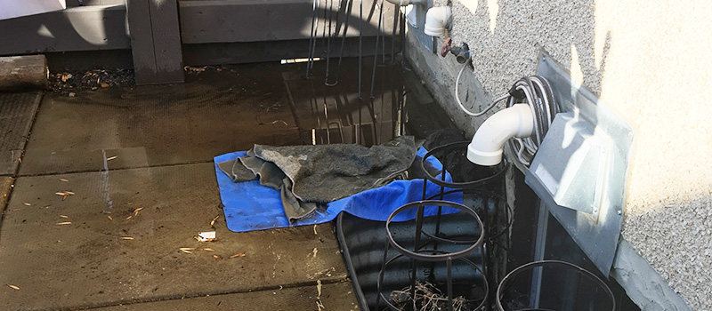 Standing water on a patio next to a basement window well