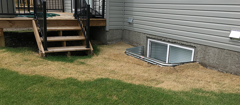 Grass damaged by standing water