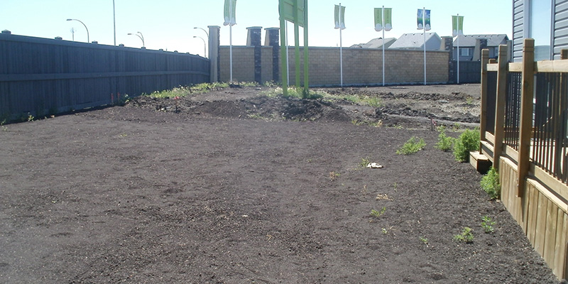 Freshly landscaped and graded yard