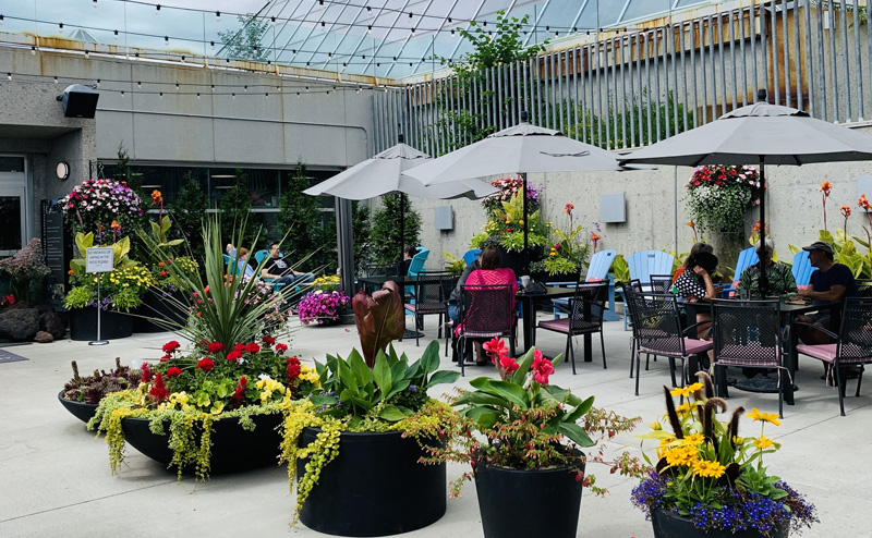 People sitting on an outdoor patio under umbrellas at the Muttart.