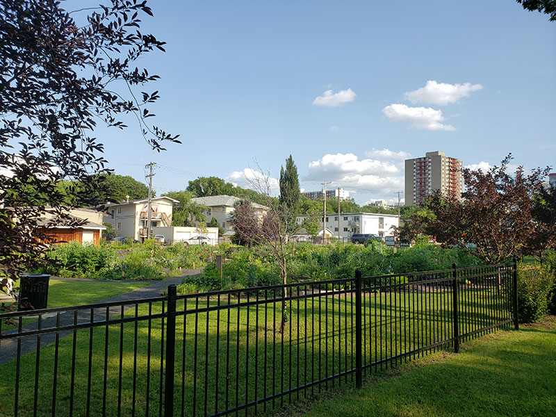 Creating a Vibrant Oliver Neighbourhood City of Edmonton