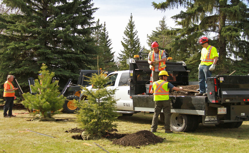 parkland maintenance