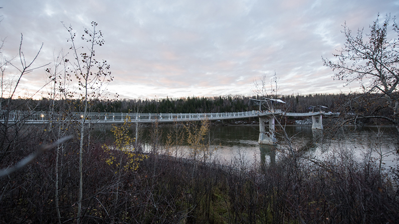 Distant view of the bridge from shore