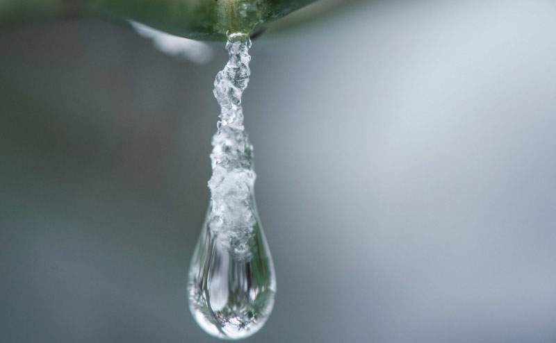 Water Droplet