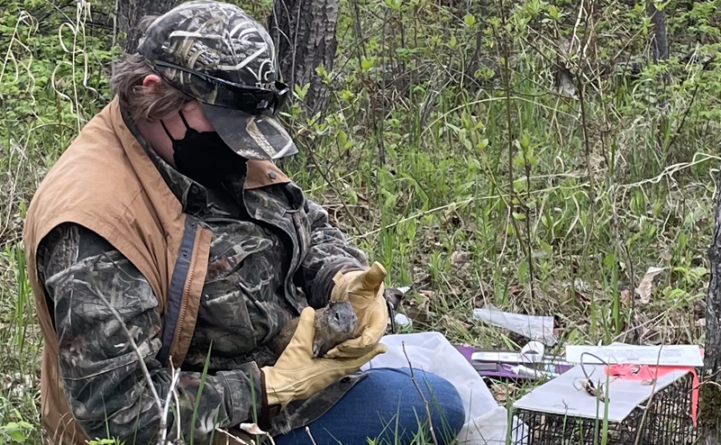 A person wearing camouflage in the woods, holding a squirrel.
