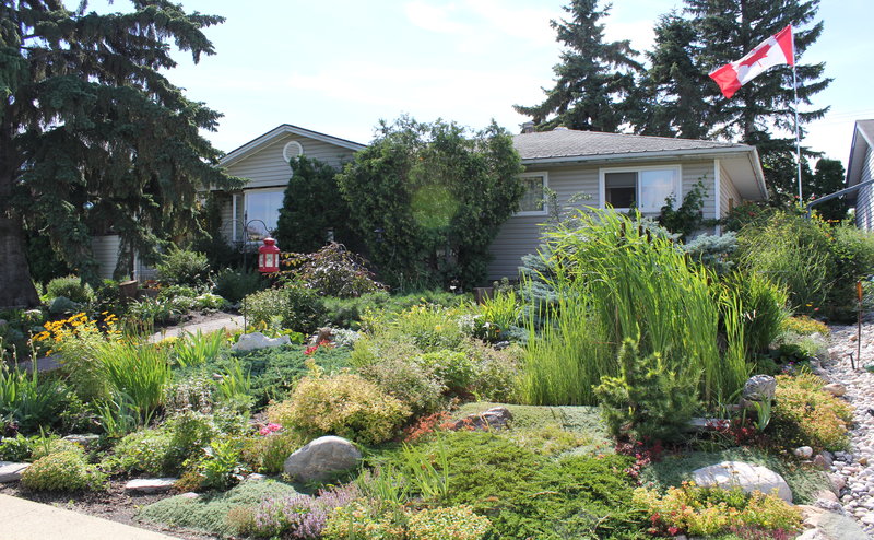 A photo of a natural yard.