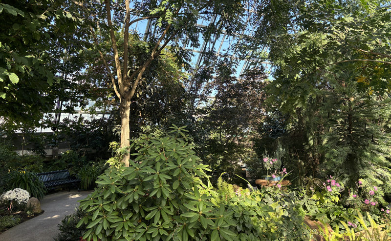 Various green plants in a Muttart pyramid.