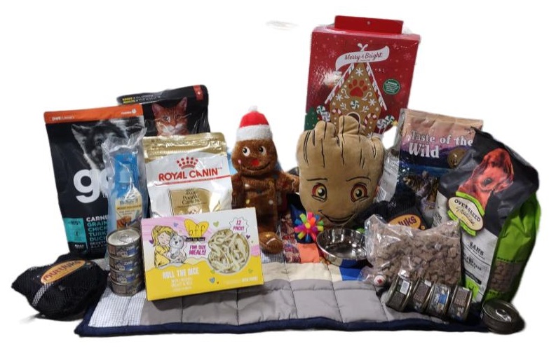 paws for a cause products