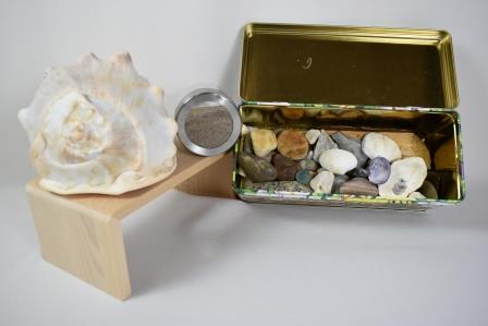 Souvenir Shells and Rocks