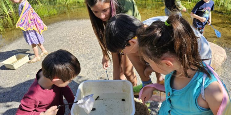Kids and adult looking at bugs in container