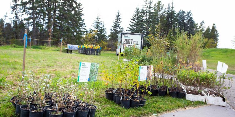 National Tree Day Event 2023
