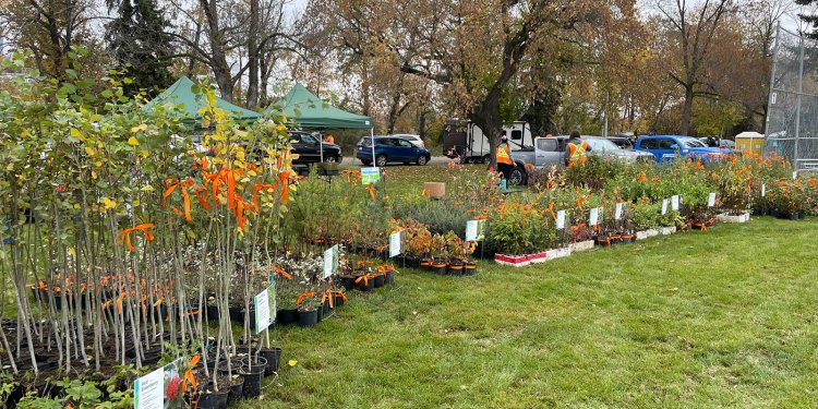 Tree and Shrub Giveaway Event for National Day for Truth & Reconciliation 2023