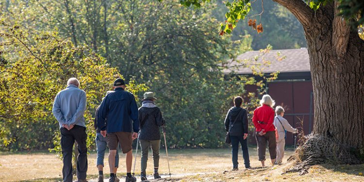 seniors walking trail