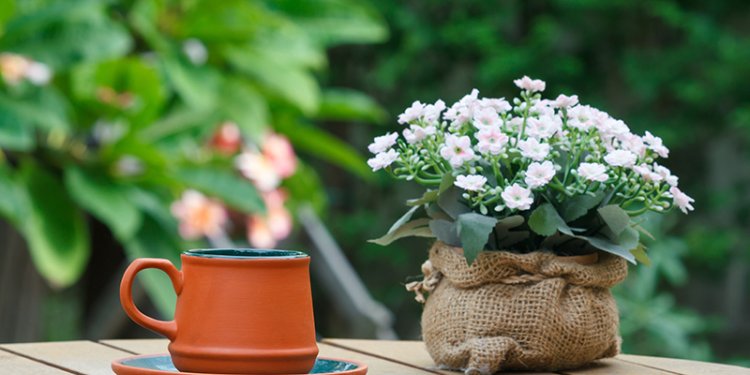teacup and flower pot on table