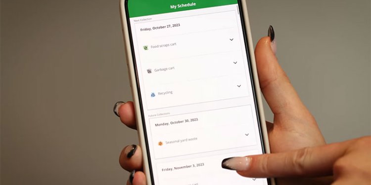 hand holding mobile phone