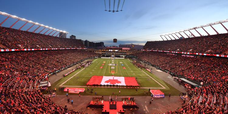 grey cup snowbirds display