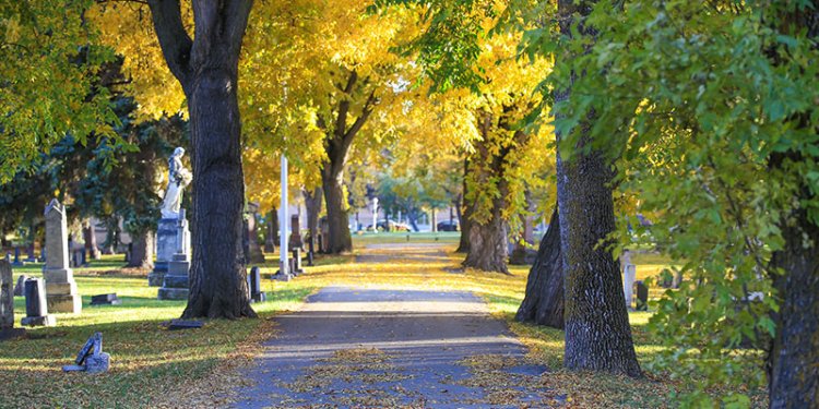 edmonton cemetery walkway