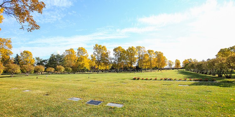 northern lights cemetery entrance