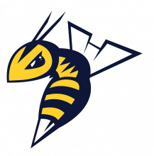 Edmonton Stingers Bee Logo