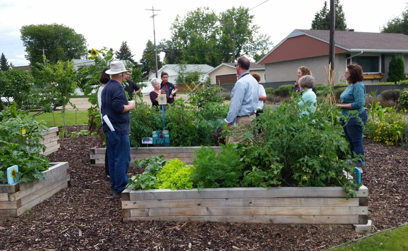 people standing in community garden