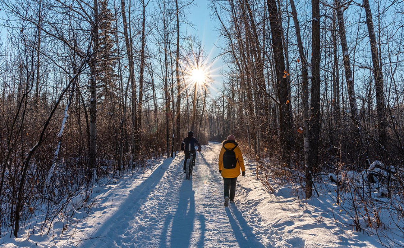 hawrelak trails in winter