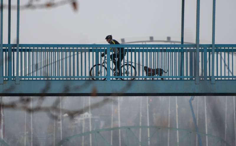person riding bike on bridge with dog on leash
