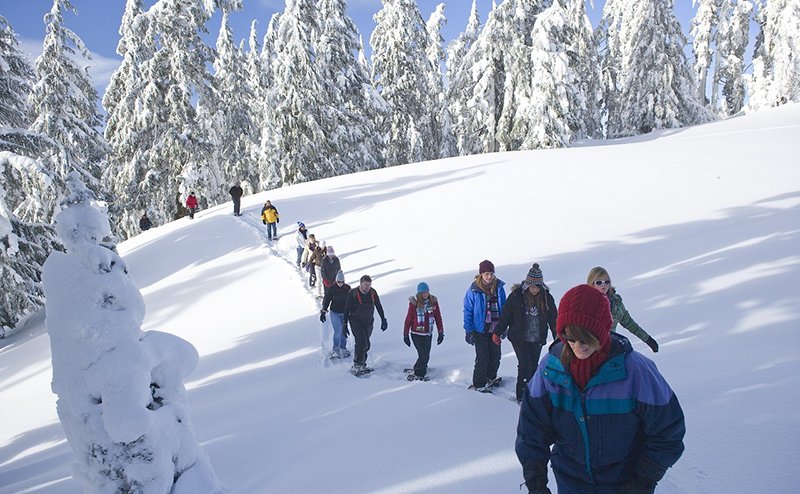 group of people snowshoeing in park