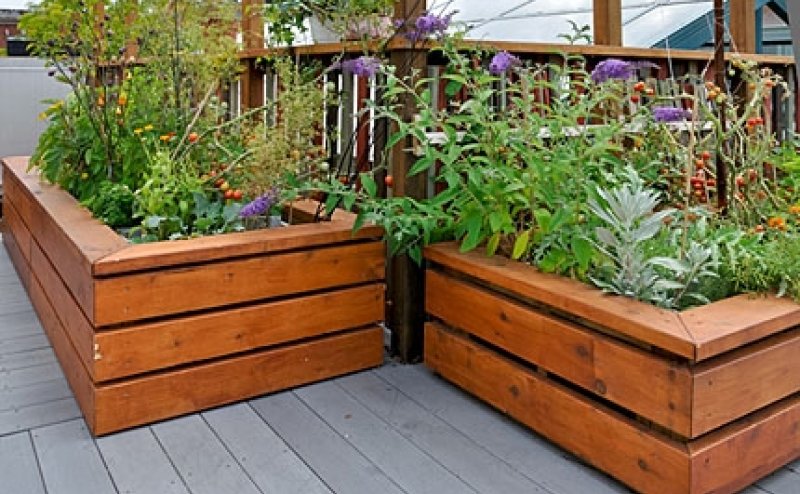 garden boxes