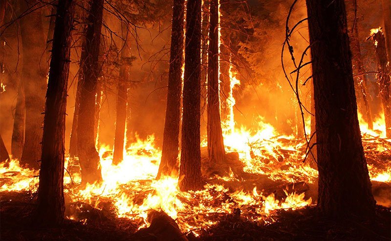 raging wildfire