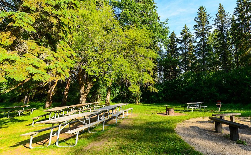 A picnic bench with a nearby barbecue in winter.